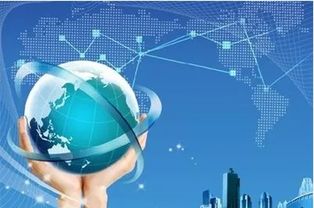 水深則魚悅，城強則賈興——北京以計算機軟件開發推動國際一流營商環境建設